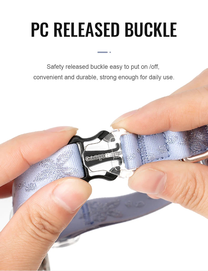 Truelove Cat Collar with Elastic Strap