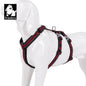 Truelove Double H Harness Neoprene Padding Durable Strong Reflective Gow in the Dark Aluminum Alloy Fitting Light Weight TLH6571