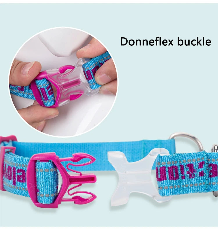 Truelove Dog Collar P-Chain Outdoor Nylon High Quality Stainless Steel Chain