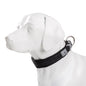 TRUELOVE Adjustable Padded Pet Dog Collar Comfort and Ventilation Pull-resistant Explosion Proof Personalized Printing YC1853