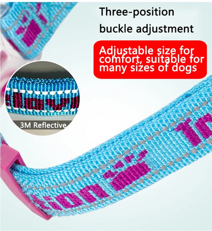 Truelove Dog Collar P-Chain Outdoor Nylon High Quality Stainless Steel Chain