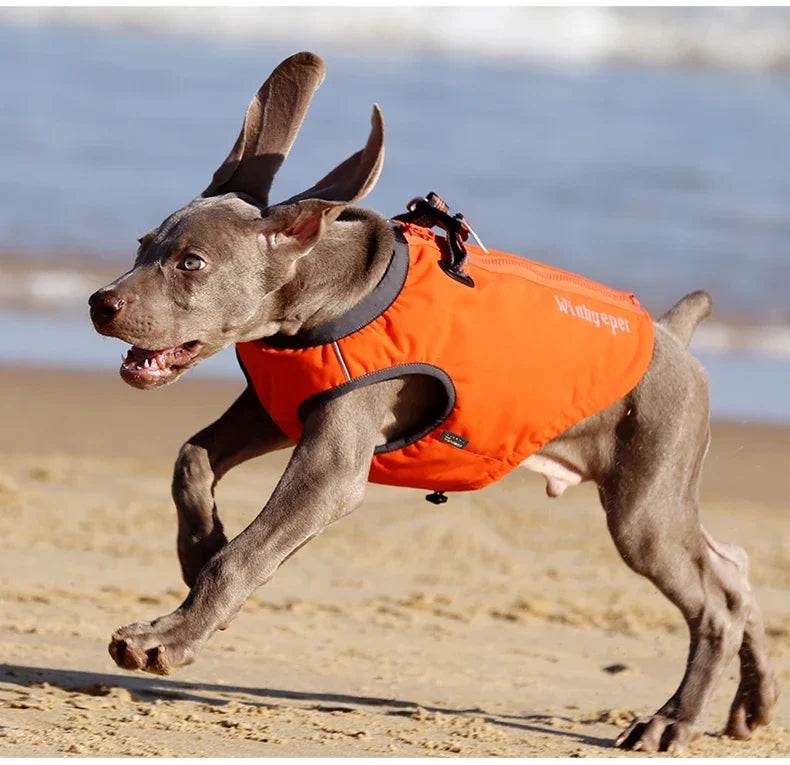TRUELOVE High-Performance Foul Weather Jacket Dog Harness Vest Combination High-grade Nylon 66 Waterproof Keep Pet Warm YG1871