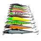 Bionic Hard Fishing Lure with 3D Eyes (11.5cm/14g) – 5/10pcs Habicare