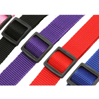 Vehcile Belt & Adjustable Nylon Leash for Dogs (7 colors available) Habicare