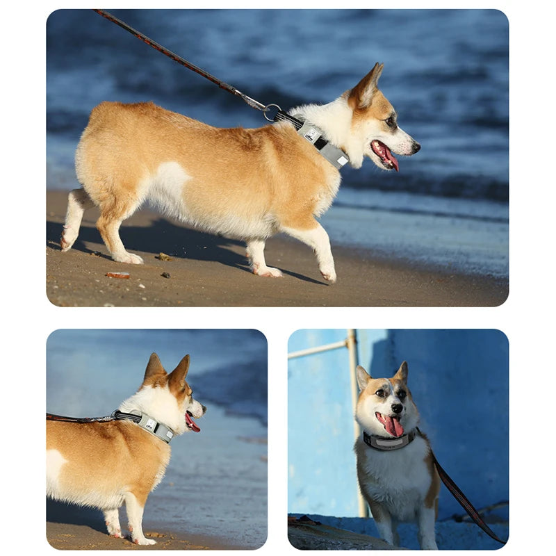 Truelove Pet Collar Reflective Multifunctional Dog Collar