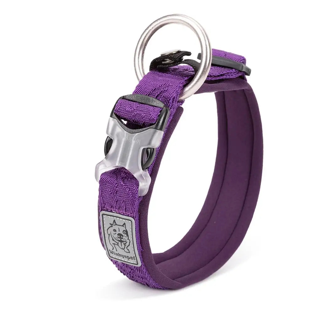 TRUELOVE Adjustable Padded Pet Dog Collar Comfort and Ventilation Pull-resistant Explosion Proof Personalized Printing YC1853