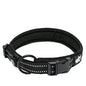 Truelove Nylon Adjustable Dog Collar