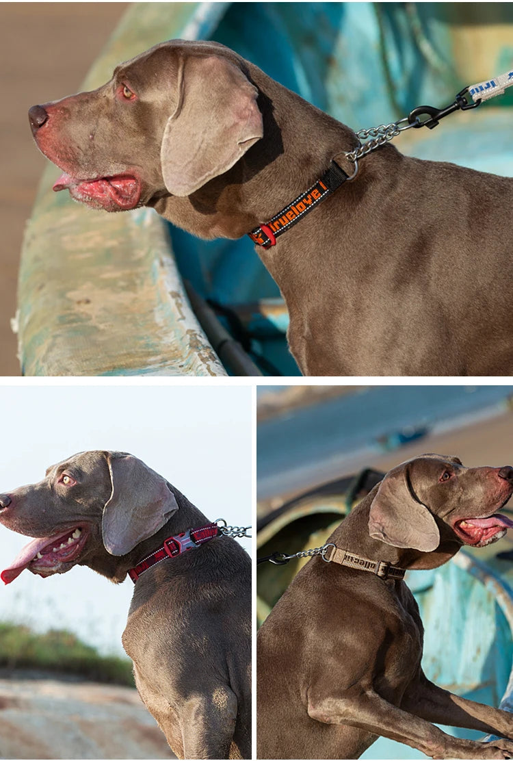 Truelove Dog Collar P-Chain Outdoor Nylon High Quality Stainless Steel Chain