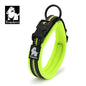 Truelove Adjustable Mesh Padded Dog Collar