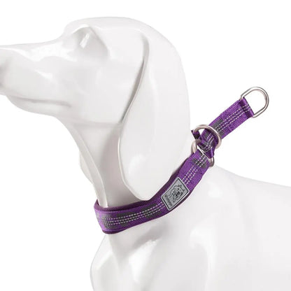 Truelove P Chain Pet Reflective Collar Nylon Best Neoprene Padded Half Choke Training Lightweight Washable Sports YC1852