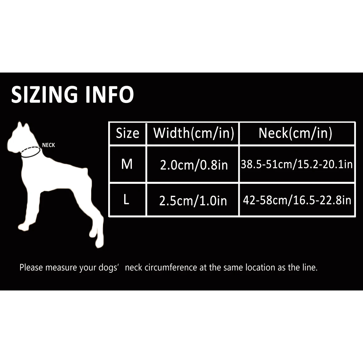 Truelove Dog Collar P-Chain Outdoor Nylon High Quality Stainless Steel Chain