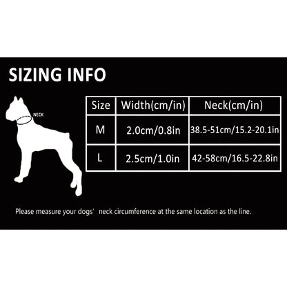 Truelove Dog Collar P-Chain Outdoor Nylon High Quality Stainless Steel Chain