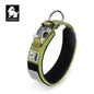 Truelove Pet Collar Reflective Multifunctional Dog Collar