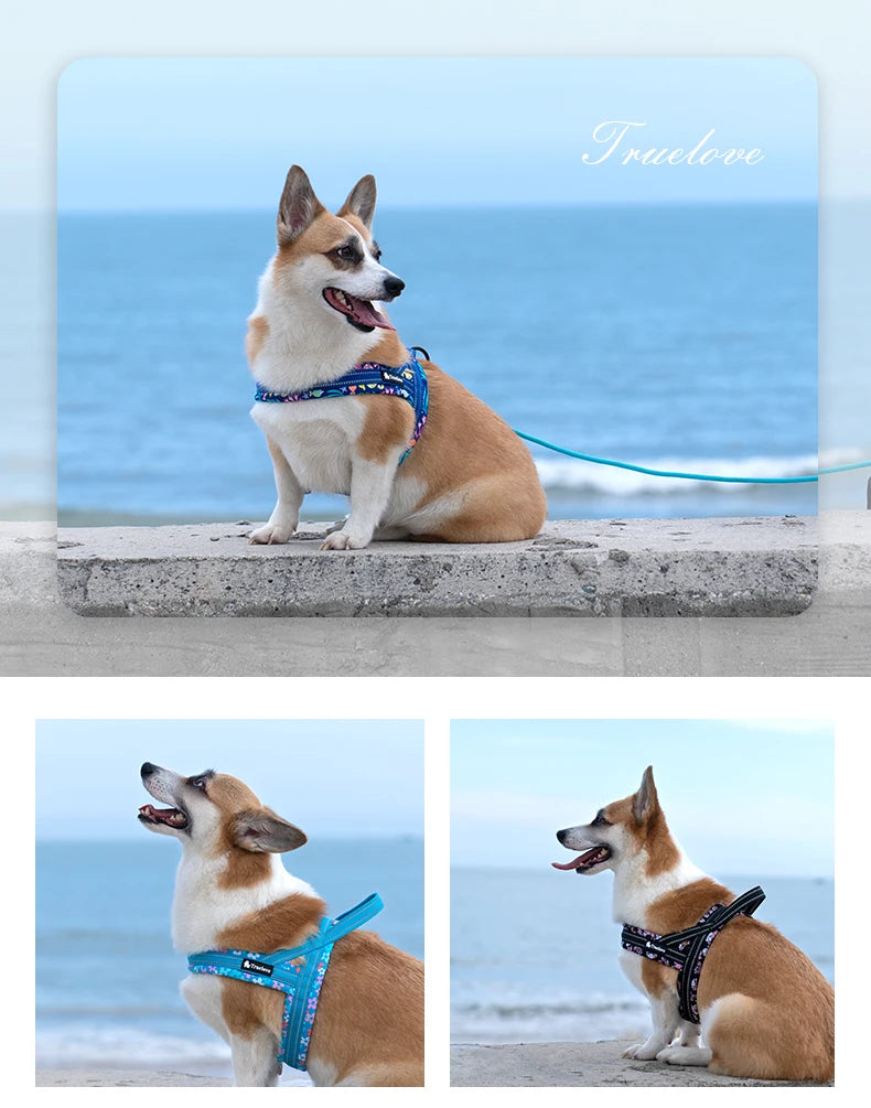 Truelove Floral Printing Mesh Padded Harness – Comfort and Style for Every Dog