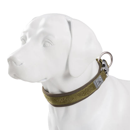 TRUELOVE Adjustable Padded Pet Dog Collar Comfort and Ventilation Pull-resistant Explosion Proof Personalized Printing YC1853