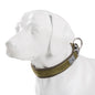TRUELOVE Adjustable Padded Pet Dog Collar Comfort and Ventilation Pull-resistant Explosion Proof Personalized Printing YC1853