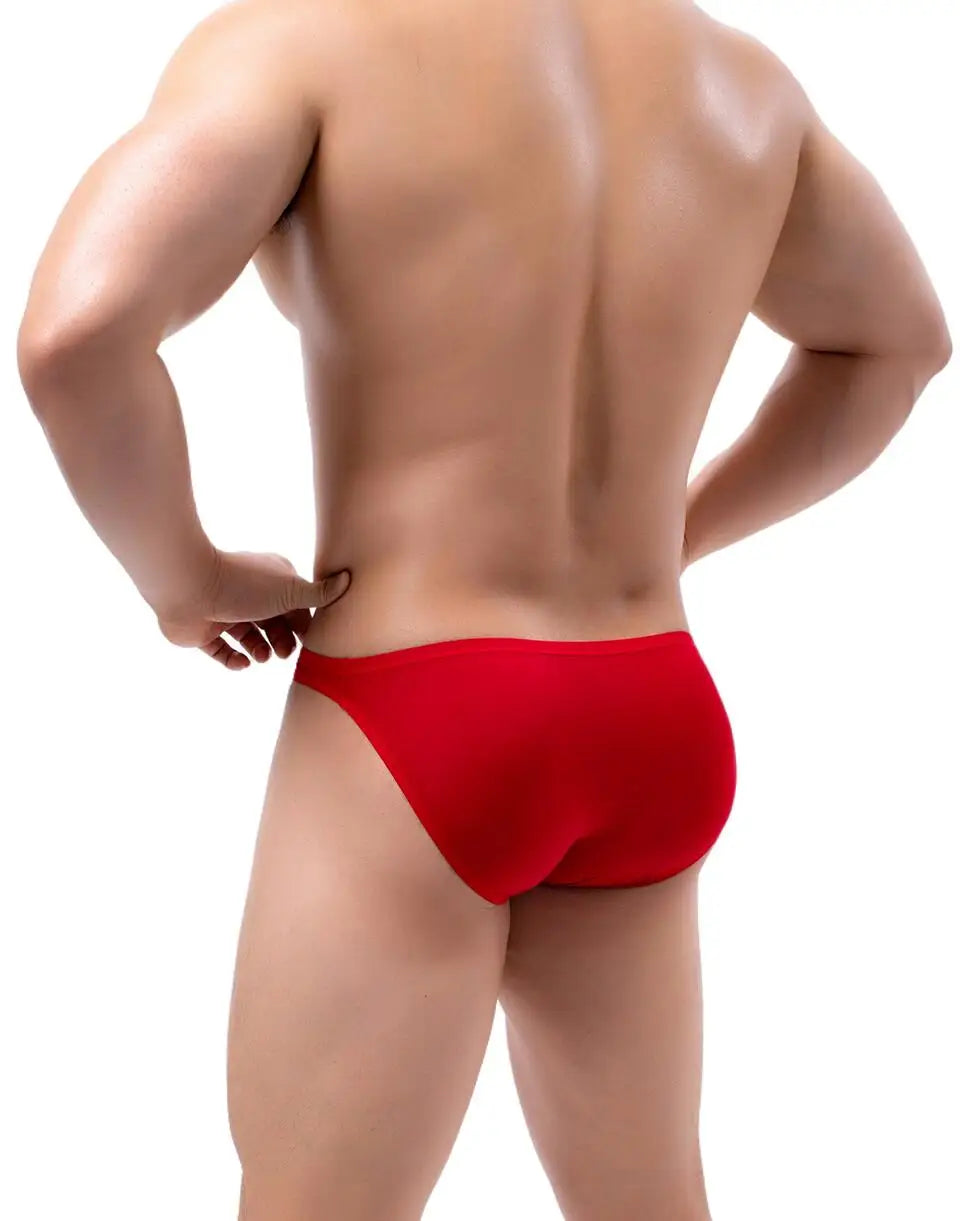 BRAVE PERSON Sexy Men's Underwear Big Penis Pouch Briefs Bikini Nylon Underpants