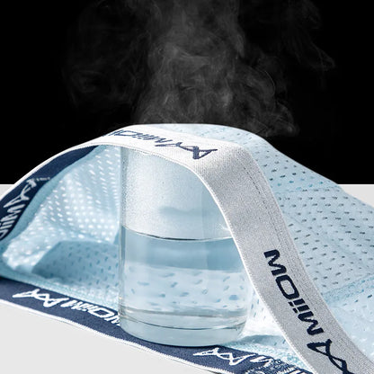 MiiOW Men's Ice Silk Underwear 4Pcs Breathable Mesh Boxers Antibacterial Crotch