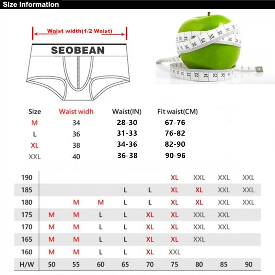 SEOBEAN Men's Breathable Underwear - Mesh Sexy Briefs with Rainbow Belt