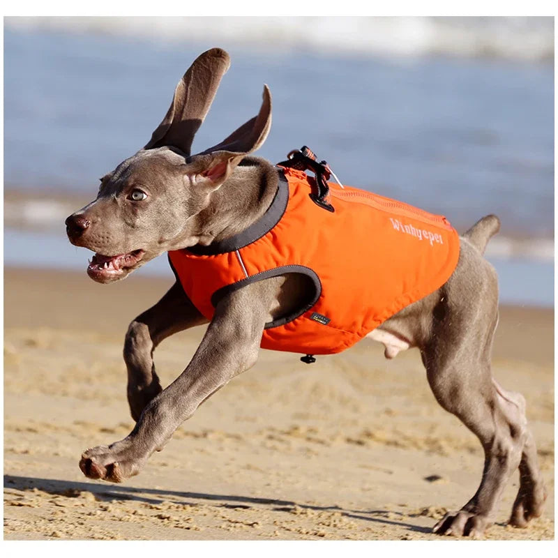 TRUELOVE High-Performance Foul Weather Jacket Dog Harness Vest Combination High-grade Nylon 66 Waterproof Keep Pet Warm YG1871