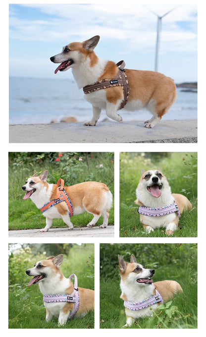 Truelove Floral Printing Mesh Padded Harness – Comfort and Style for Every Dog