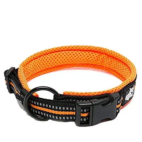 Truelove Nylon Adjustable Dog Collar