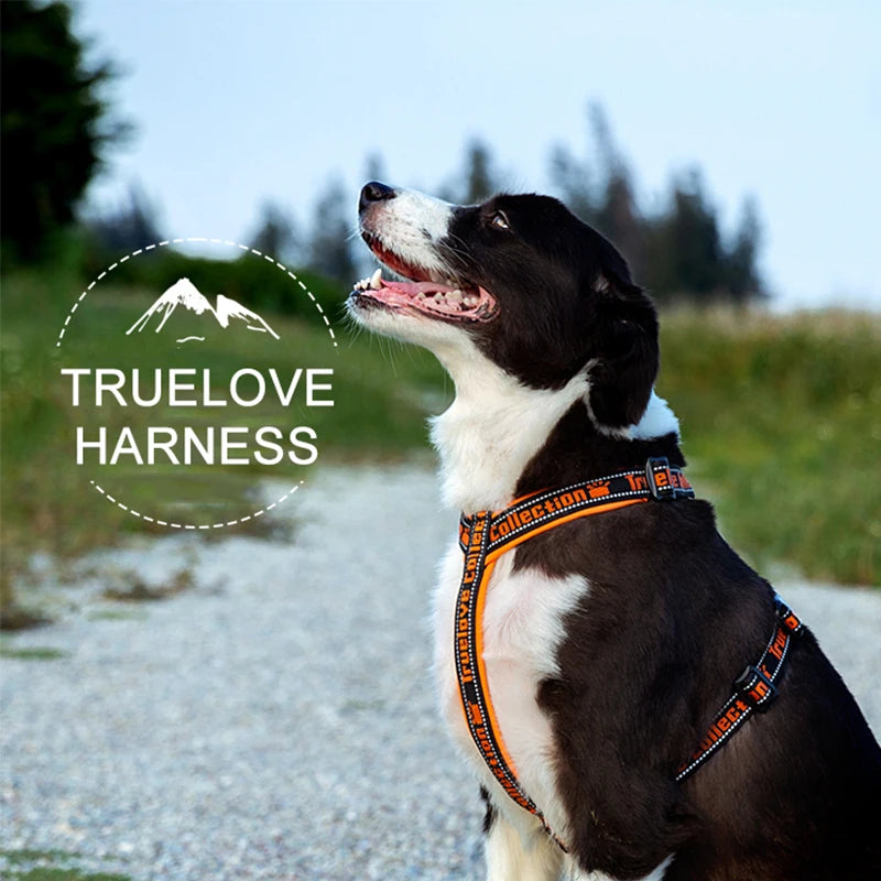 Truelove Dog Harness Reflective No Pull Tactical Military Training Design Neoprene Padded Comfort Mesh Adjustable TLH6371