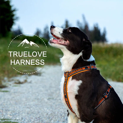 Truelove Dog Harness Reflective No Pull Tactical Military Training Design Neoprene Padded Comfort Mesh Adjustable TLH6371