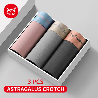 Men's Antibacterial Boxer Briefs - Ultimate Comfort and Freshness