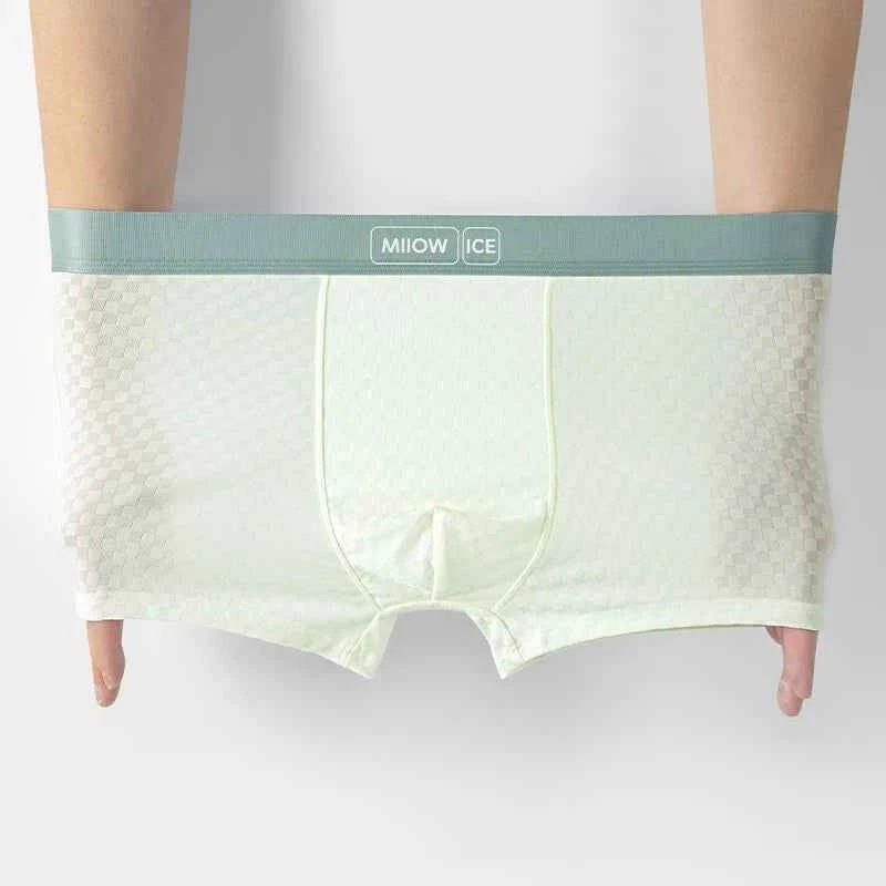 MiiOW 4Pcs Silky Ice Silk Men Underwear 7A Antibacterial Mesh Crotch Men's Panties Breathable Man Underpants Mens Boxershorts