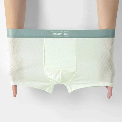 MiiOW 4Pcs Silky Ice Silk Men Underwear 7A Antibacterial Mesh Crotch Men's Panties Breathable Man Underpants Mens Boxershorts