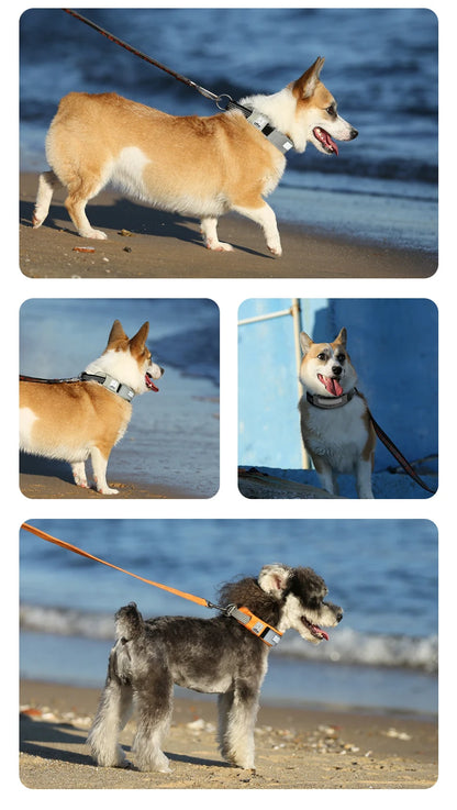 Truelove Pet Collar Reflective Multifunctional Dog Collar