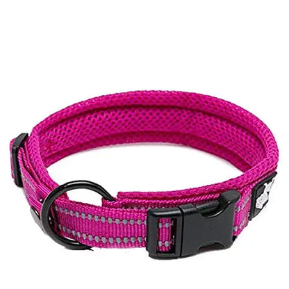 Truelove Nylon Adjustable Dog Collar