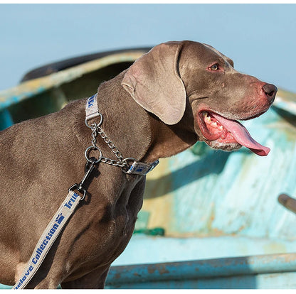 Truelove Dog Collar P-Chain Outdoor Nylon High Quality Stainless Steel Chain