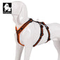 Truelove Double H Harness Neoprene Padding Durable Strong Reflective Gow in the Dark Aluminum Alloy Fitting Light Weight TLH6571