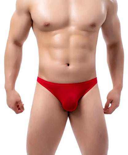 BRAVE PERSON Mens Sexy Underwear Briefs - Low Waist Nylon Briefs for Men