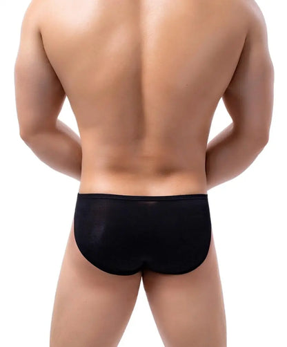 BRAVE PERSON Sexy Men's Underwear Big Penis Pouch Briefs Bikini Nylon Underpants