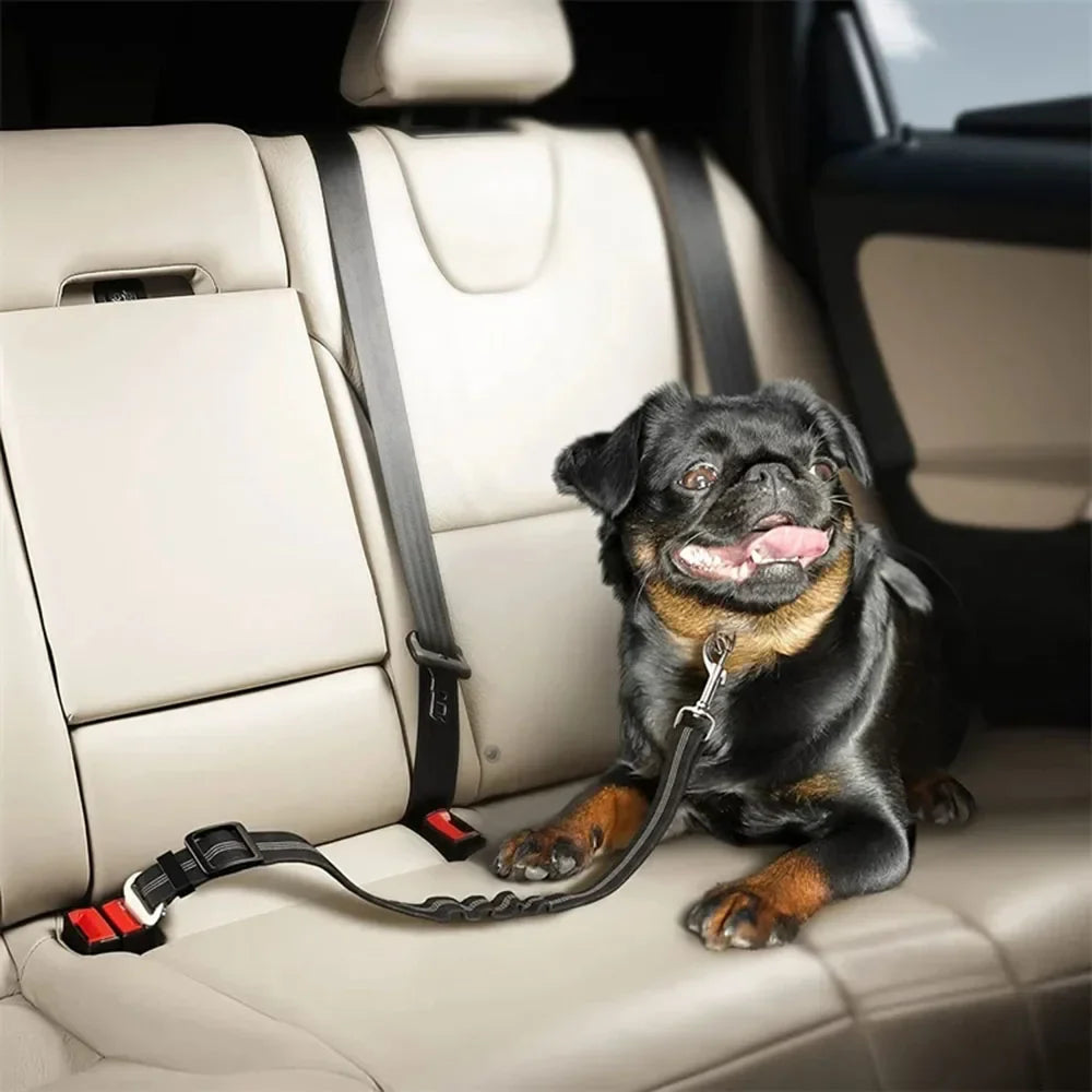 Adjustable Vehicle Harness for Dogs (available in different colors) Habicare