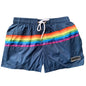 DESMIIT S95 Swim Shorts | Solid & Rainbow Styles