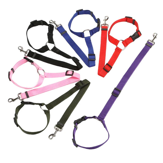 Vehcile Belt & Adjustable Nylon Leash for Dogs (7 colors available) Habicare