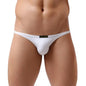 BRAVE PERSON Sexy Men's Mini Briefs Low Waist Smooth Ice Silk Nylon Underpants