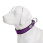 TRUELOVE Adjustable Padded Pet Dog Collar Comfort and Ventilation Pull-resistant Explosion Proof Personalized Printing YC1853