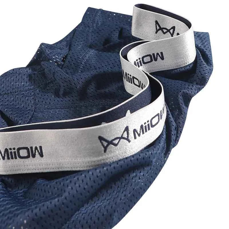 MiiOW Men's Ice Silk Underwear 4Pcs Breathable Mesh Boxers Antibacterial Crotch