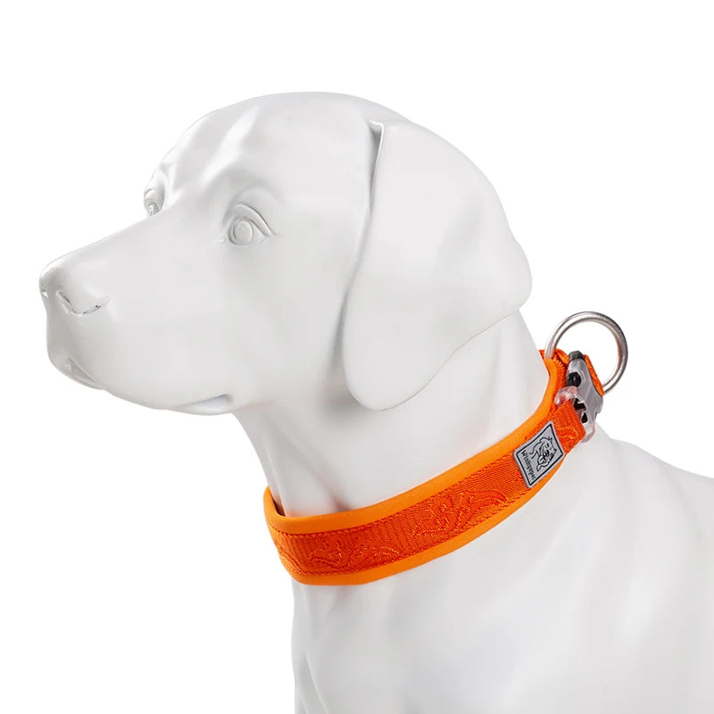 TRUELOVE Adjustable Padded Pet Dog Collar Comfort and Ventilation Pull-resistant Explosion Proof Personalized Printing YC1853