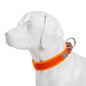 TRUELOVE Adjustable Padded Pet Dog Collar Comfort and Ventilation Pull-resistant Explosion Proof Personalized Printing YC1853