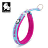 Truelove P-Chain Nylon Pet Collar Adjustable Reflective SBR Neoprene Pull-resistant Explosion-proof Dog and Cat Travel TLC5371