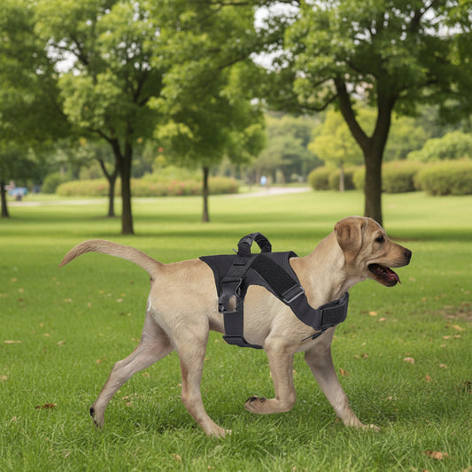 Tactical Dog Harness Training Walking Collar Vest Pet Adjustable Chest Strap dealonline.co.nz