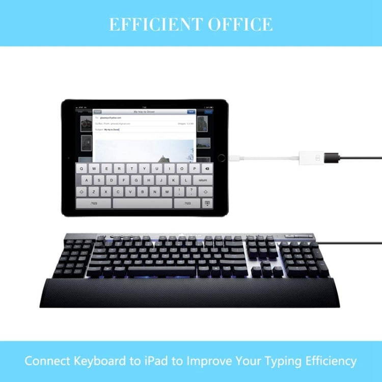 FA-STAR ZS-KL21826 8 Pin to USB 3.0 OTG Adapter, Supports IOS 13 and Above