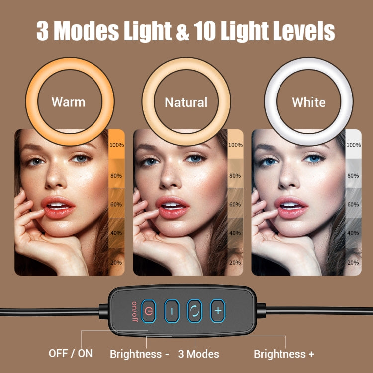 Apexel FL20 10 Inch LED Ring Light Foldable Metal Swing Arm Desk Lamp with Stand & Phone Holder