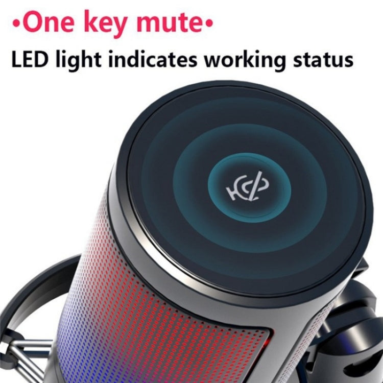 ME6S Professional Condenser Microphone USB Desktop Microphone